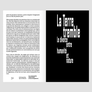 Anthropocène, âge du désastre. Les catastrophes industrielles et leurs imaginaires