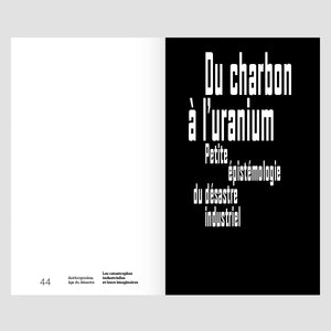 Anthropocène, âge du désastre. Les catastrophes industrielles et leurs imaginaires