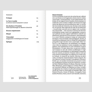 Anthropocène, âge du désastre. Les catastrophes industrielles et leurs imaginaires